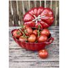 Cast Iron, 3 qt, Tomato, Dutch Oven, Cherry, small 10