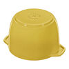 Cast Iron, 1.5 qt, Petite French Oven, citron, small 4